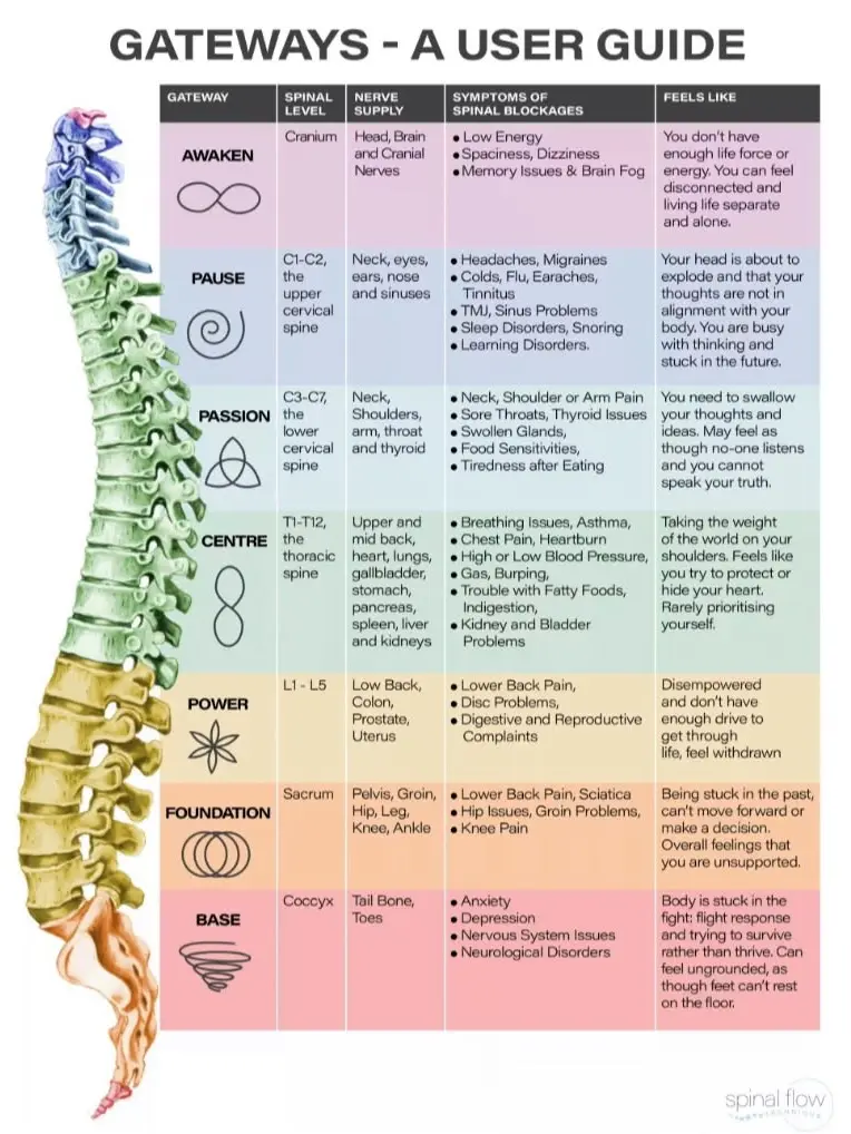 Diagram showing physical, chemical, and emotional blockages in the human spine and nervous system.