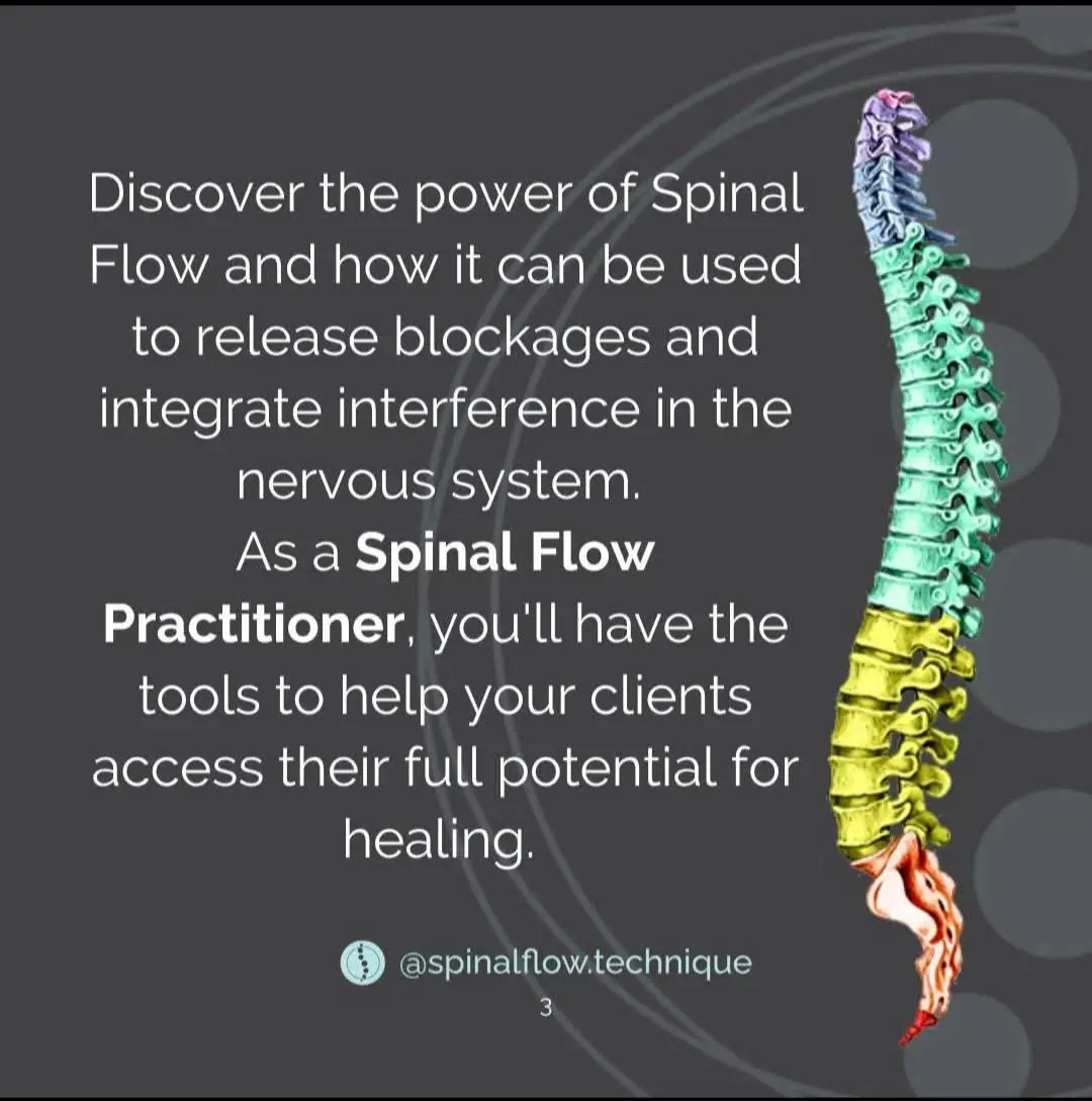 Anatomical diagram of a colorful human spine explaining how Spinal Flow releases blockages and integrates nervous system interference.
